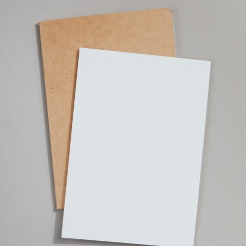 pexels-karolina-grabowska-5420988